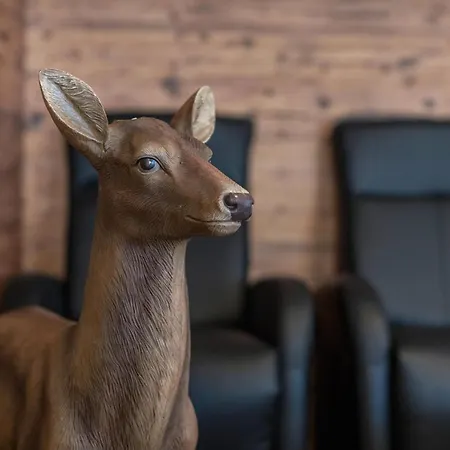 Szálloda Sommer Hirsch Fuer 6 Personen